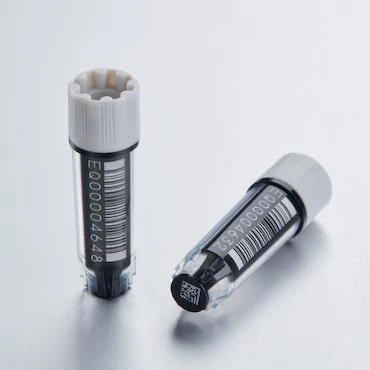 艾本德Eppendorf CryoStorage Vial，無(wú)菌, 無(wú)菌, 0.5 mL, 不含 DNase、RNase、人類 DNA 和內(nèi)毒素；外螺紋，預(yù)先加蓋灰色管蓋，帶 2D SafeCode 